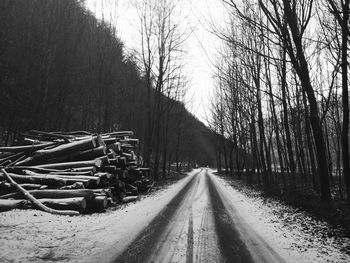 Road amidst trees in forest during winter