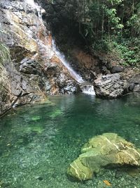 Scenic view of waterfall in forest