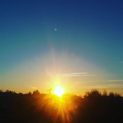 Silhouette trees against blue sky during sunset