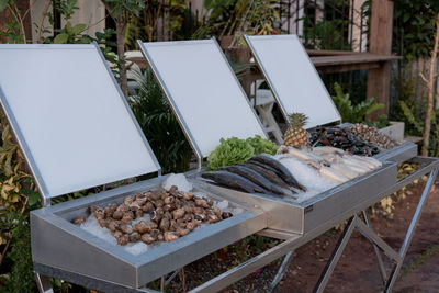 High angle view of food on table in yard