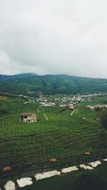 Scenic view of field against cloudy sky