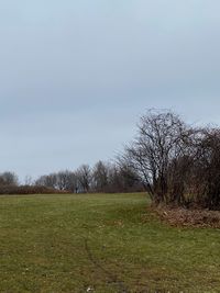 Trees on field against sky