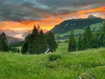 Scenic view of landscape against sky during sunset