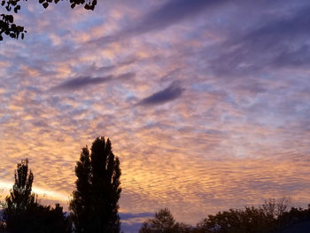 Low angle view of silhouette trees against dramatic sky
