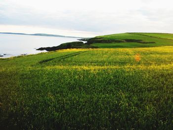 Scenic view of field against cloudy sky