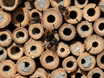 Full frame shot of firewood