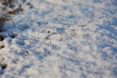 High angle view of snow on land