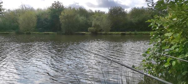 Scenic view of lake in forest against sky