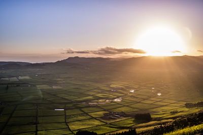 Scenic view of agricultural field against sky during sunset