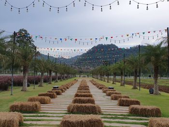 Panoramic shot of trees on field against sky