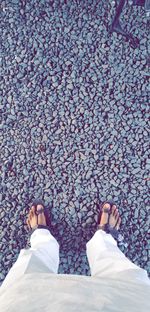 Low section of woman standing on ground