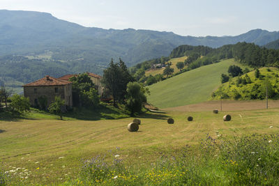 Scenic view of farm against sky