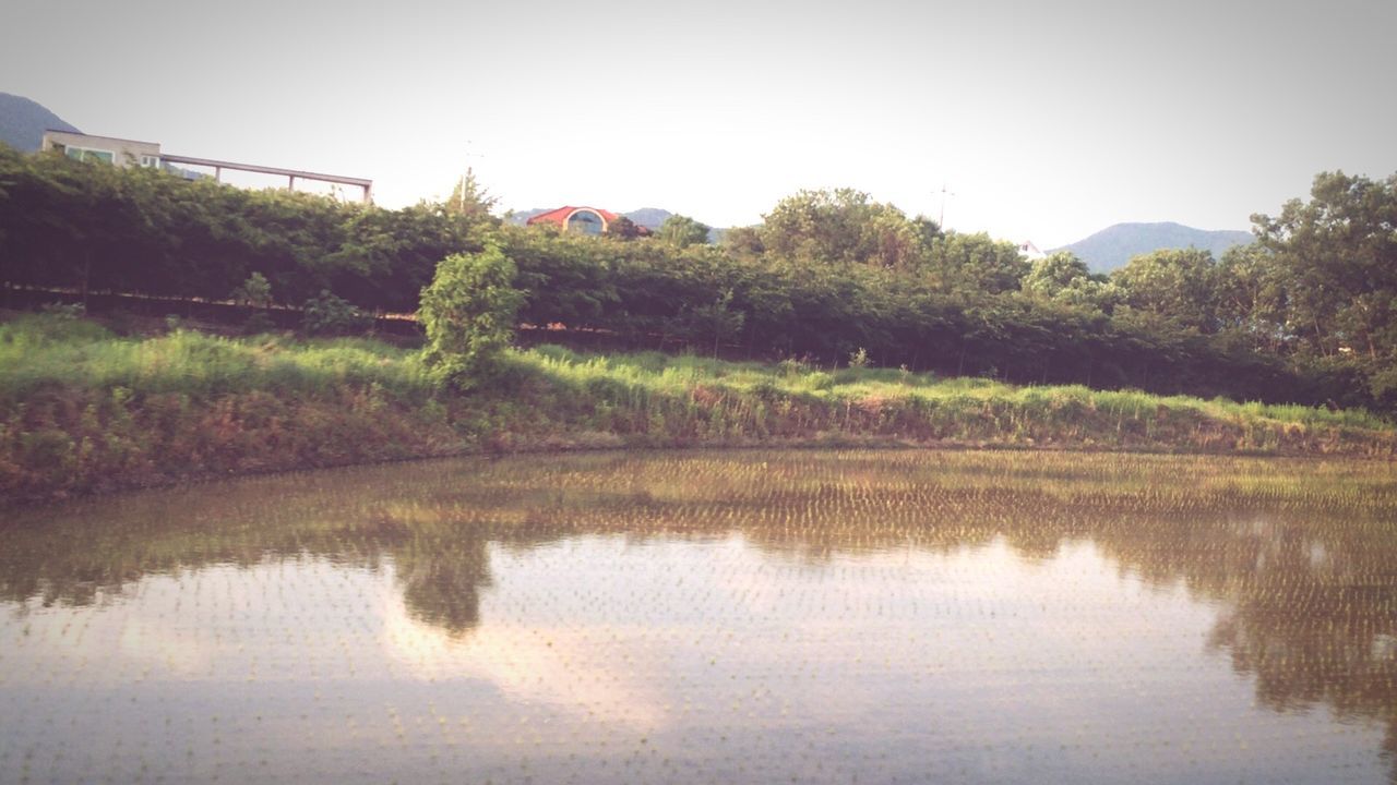 water, reflection, waterfront, clear sky, tree, lake, built structure, architecture, tranquility, building exterior, tranquil scene, growth, nature, beauty in nature, standing water, green color, scenics, plant, river, house