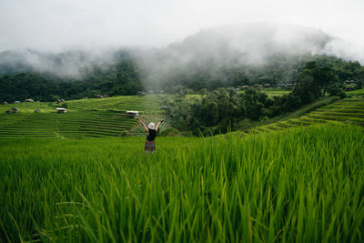 Rear view of man walking on field