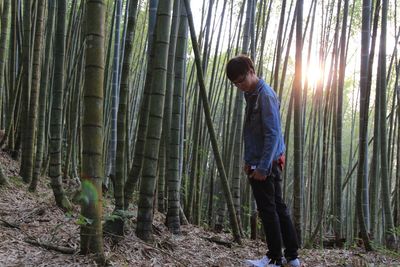 Man standing against bamboos in forest