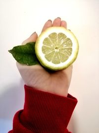 Close-up of hand holding fruit