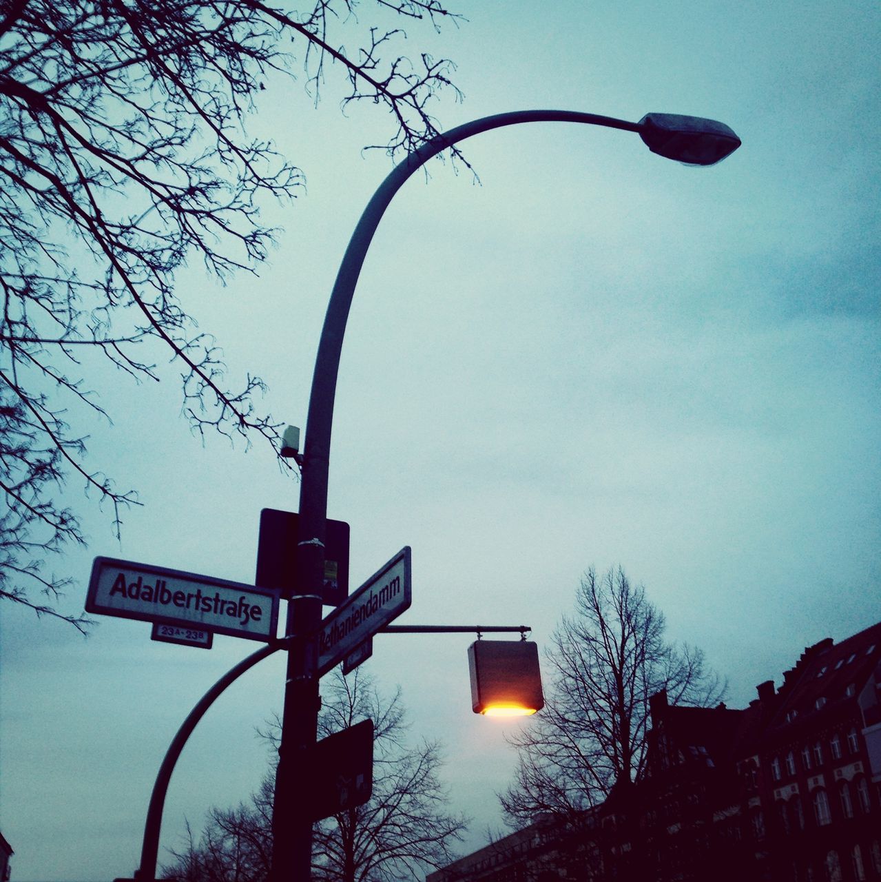 street light, tree, built structure, low angle view, lighting equipment, architecture, building exterior, sky, illuminated, clear sky, bare tree, sunset, silhouette, dusk, road sign, branch, communication, city, outdoors, lamp post