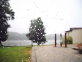 Close-up of water drops on glass