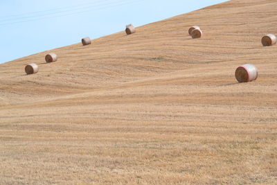 Hay bales on field