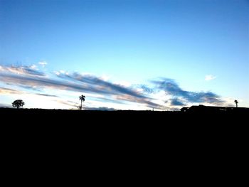 Low angle view of silhouette trees against sky at sunset