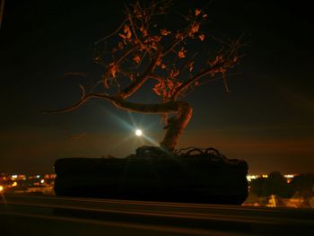 Illuminated tree against sky at night