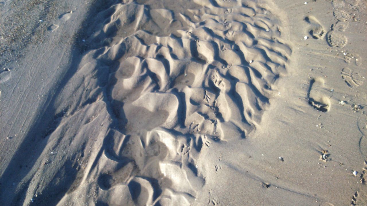 sand, beach, high angle view, footprint, shore, pattern, textured, sunlight, stone - object, day, outdoors, water, shadow, nature, no people, wet, in a row, tranquility, pebble, close-up