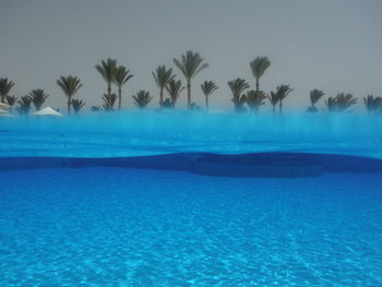 Palm trees by swimming pool against sky