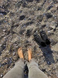 Low section of man standing on beach