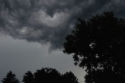 Low angle view of silhouette tree against sky