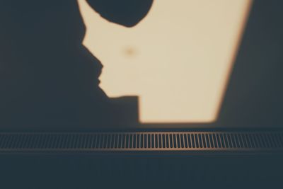 Close-up portrait of silhouette people at night