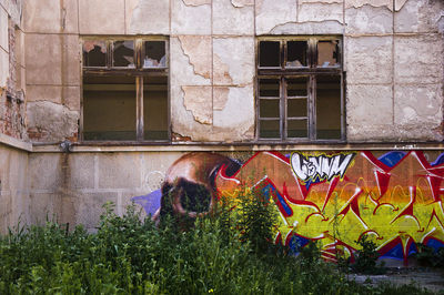 Graffiti on wall of building