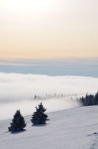 Scenic view of snow covered land against sky during sunset