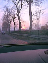 Railroad track passing through road