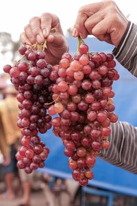 Close-up of hand holding grapes