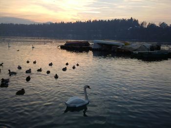 View of calm lake at sunset