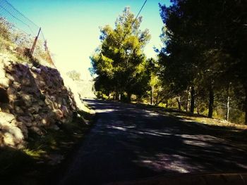 Empty road along trees