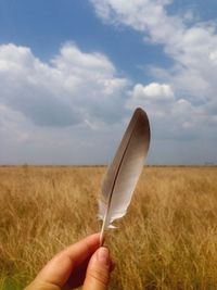 Cropped image of person holding grass in field