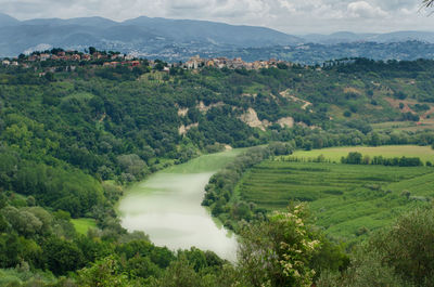 High angle view of trees on landscape against sky