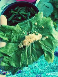 Close-up of green leaf