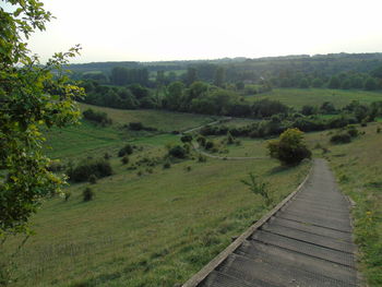 High angle view of field