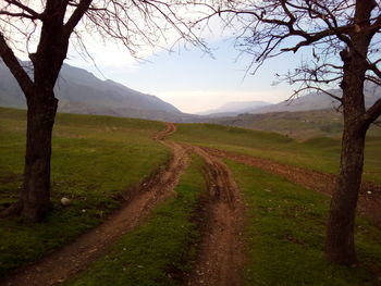 Road amidst landscape against sky