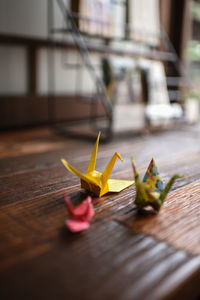 Close-up of yellow flower on table