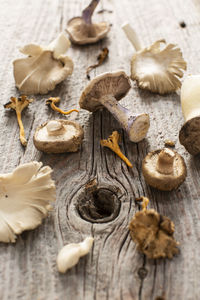 High angle view of mushrooms on table