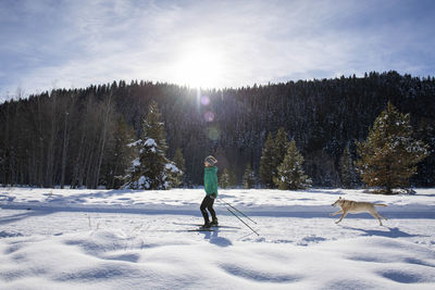A woman nordic skiing with her dog on a crisp winter day.