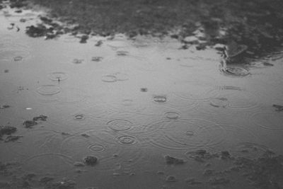 Full frame shot of raindrops on puddle