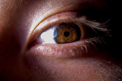 Close-up of human eye