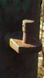 Close-up of rusty metal