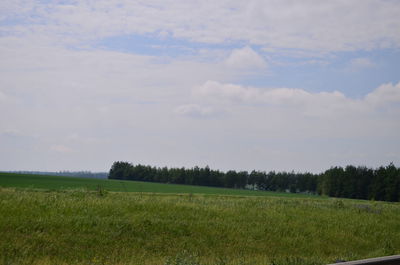 Scenic view of field against sky