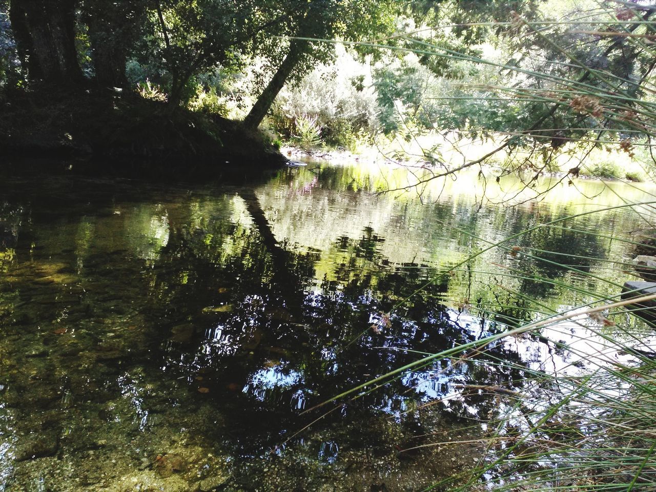 Parque de campismo