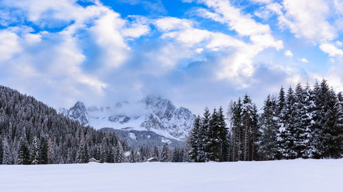 Trees on snow covered landscape against sky